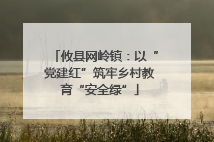 攸县网岭镇：以“党建红”筑牢乡村教育“安全绿”