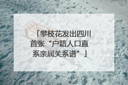 攀枝花发出四川首张“户籍人口直系亲属关系谱”