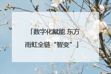 数字化赋能 东方雨虹全链“智变”