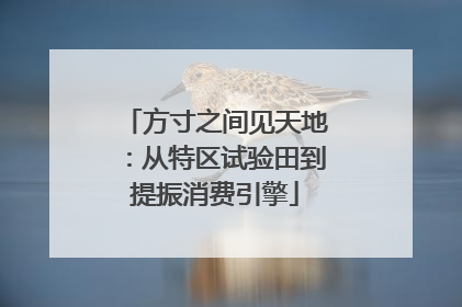 方寸之间见天地：从特区试验田到提振消费引擎