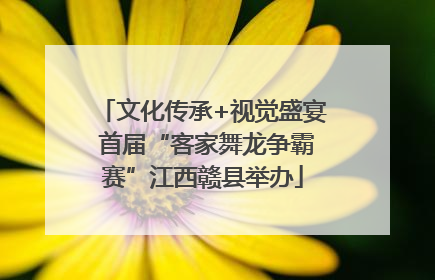 文化传承+视觉盛宴 首届“客家舞龙争霸赛”江西赣县举办