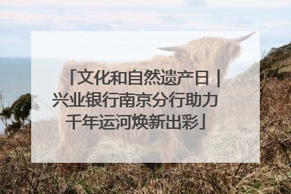 文化和自然遗产日｜兴业银行南京分行助力千年运河焕新出彩