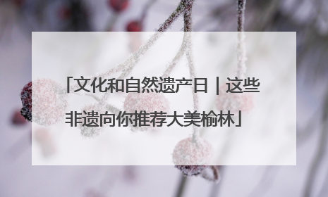 文化和自然遗产日｜这些非遗向你推荐大美榆林
