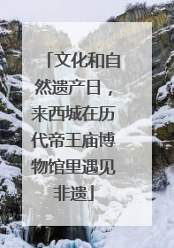 文化和自然遗产日，来西城在历代帝王庙博物馆里遇见非遗