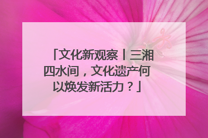 文化新观察丨三湘四水间，文化遗产何以焕发新活力？