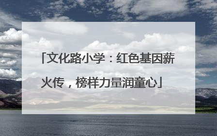 文化路小学：红色基因薪火传，榜样力量润童心