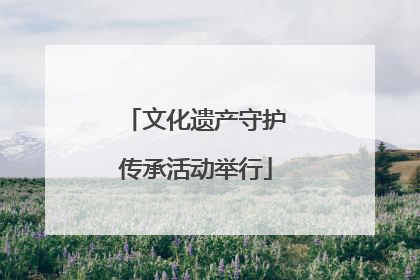 文化遗产守护传承活动举行