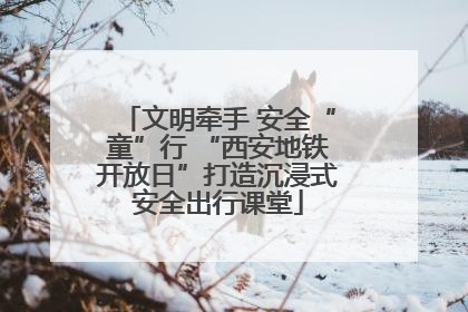 文明牵手 安全“童”行 “西安地铁开放日”打造沉浸式安全出行课堂