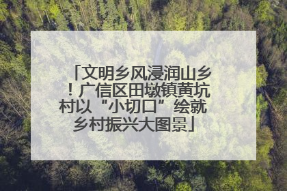 文明乡风浸润山乡！广信区田墩镇黄坑村以“小切口”绘就乡村振兴大图景