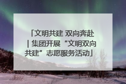 文明共建 双向奔赴｜集团开展“文明双向共建”志愿服务活动