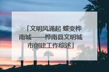 文明风涌起 蝶变桦南城——桦南县文明城市创建工作综述
