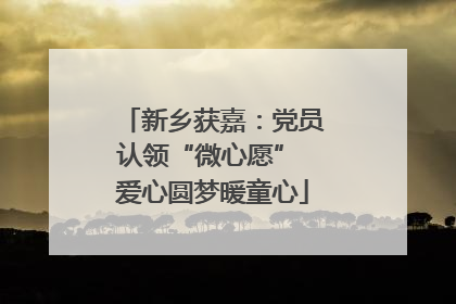 新乡获嘉：党员认领“微心愿” 爱心圆梦暖童心
