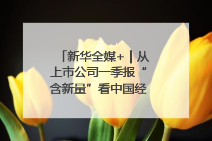 新华全媒+｜从上市公司一季报“含新量”看中国经济发展向“新”