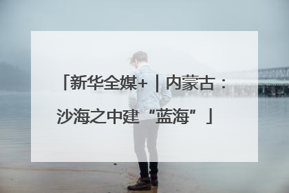 新华全媒+｜内蒙古：沙海之中建“蓝海”