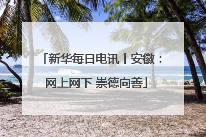 新华每日电讯丨安徽：网上网下 崇德向善