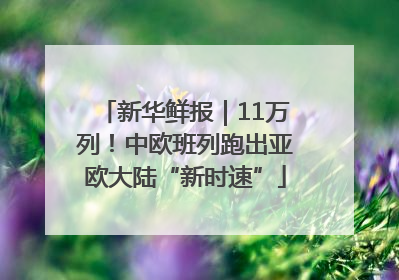 新华鲜报｜11万列！中欧班列跑出亚欧大陆“新时速”