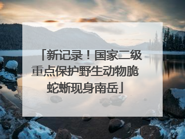 新记录！国家二级重点保护野生动物脆蛇蜥现身南岳