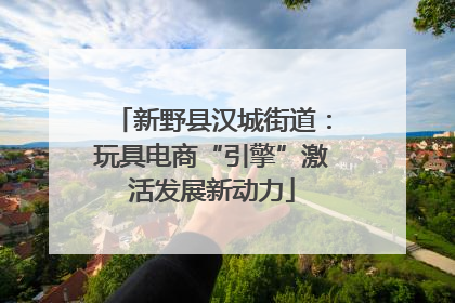 新野县汉城街道：玩具电商“引擎”激活发展新动力