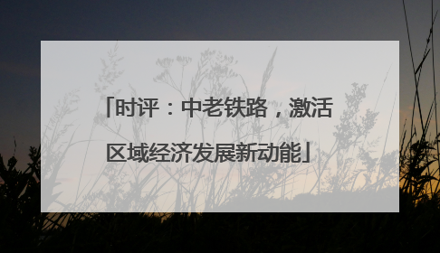 时评：中老铁路，激活区域经济发展新动能