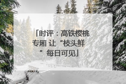 时评：高铁樱桃专厢 让“枝头鲜”每日可见