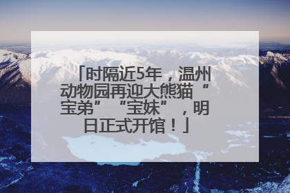 时隔近5年，温州动物园再迎大熊猫“宝弟”“宝妹”，明日正式开馆！