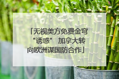 无视美方免费金穹“诱惑” 加拿大转向欧洲谋国防合作