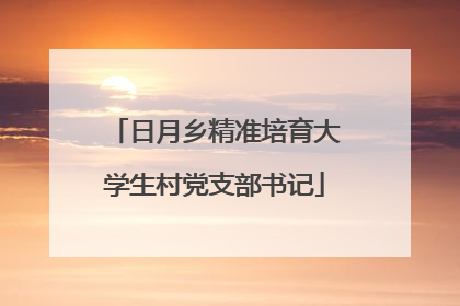 日月乡精准培育大学生村党支部书记