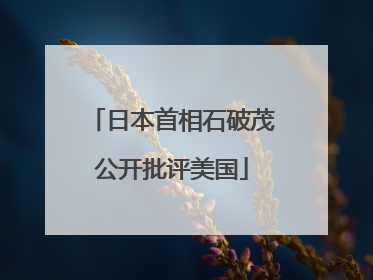 日本首相石破茂公开批评美国