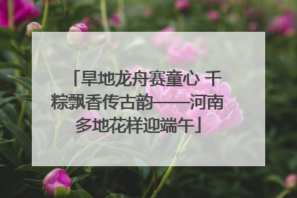 旱地龙舟赛童心 千粽飘香传古韵——河南多地花样迎端午