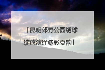 昆明郊野公园绣球绽放演绎多彩夏韵