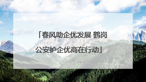 春风助企优发展 鹤岗公安护企优商在行动