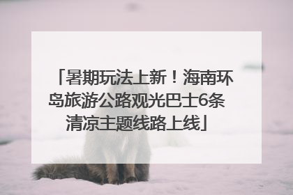 暑期玩法上新！海南环岛旅游公路观光巴士6条清凉主题线路上线