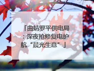 曲靖罗平供电局：深夜抢修复电护航“晨光生意”