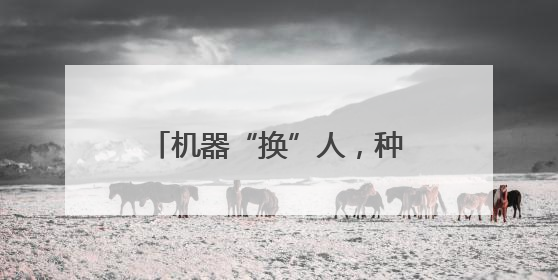 机器“换”人，种地轻松，科技赋能解锁插秧“新姿势”