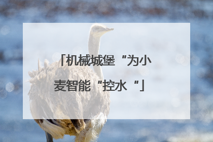 机械城堡“为小麦智能“控水“