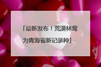 最新发布！荒漠林莺为青海省新记录种