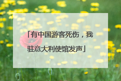 有中国游客死伤，我驻意大利使馆发声