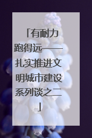 有耐力 跑得远——扎实推进文明城市建设系列谈之二