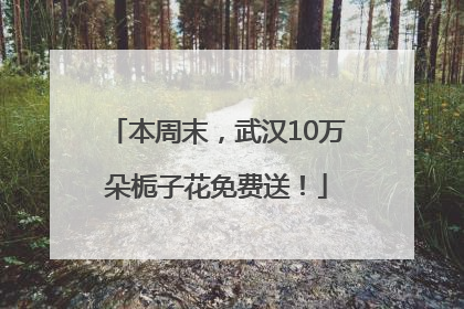 本周末，武汉10万朵栀子花免费送！