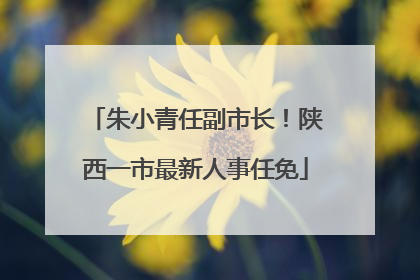 朱小青任副市长！陕西一市最新人事任免