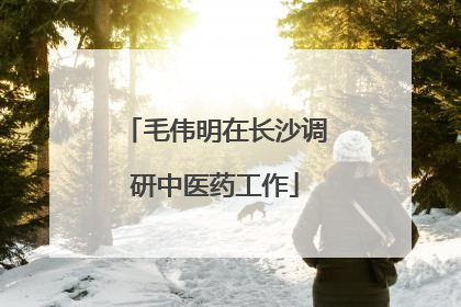 毛伟明在长沙调研中医药工作