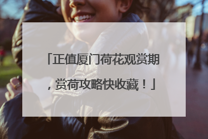 正值厦门荷花观赏期，赏荷攻略快收藏！