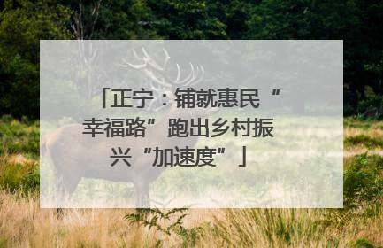 正宁：铺就惠民“幸福路”跑出乡村振兴“加速度”