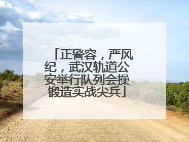 正警容，严风纪，武汉轨道公安举行队列会操锻造实战尖兵