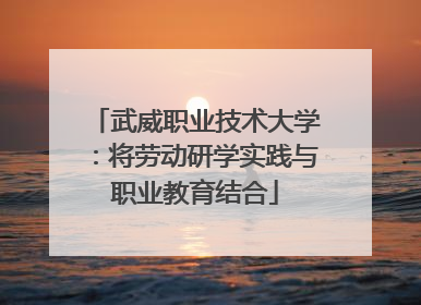武威职业技术大学：将劳动研学实践与职业教育结合