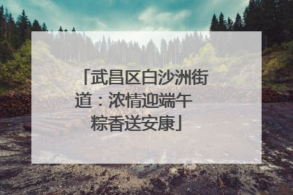 武昌区白沙洲街道：浓情迎端午 粽香送安康