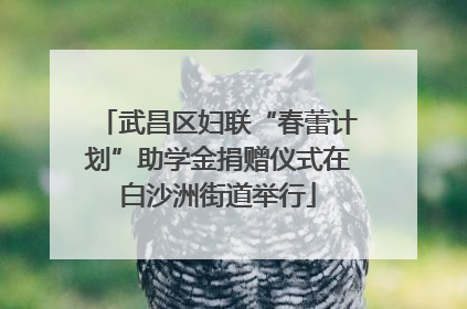 武昌区妇联“春蕾计划”助学金捐赠仪式在白沙洲街道举行