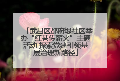 武昌区都府堤社区举办“红巷传薪火”主题活动 探索党建引领基层治理新路径
