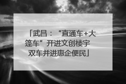 武昌：“直通车+大篷车”开进文创楼宇 双车并进惠企便民