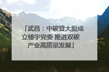 武昌：中碳登大厦成立楼宇党委 推进双碳产业高质量发展